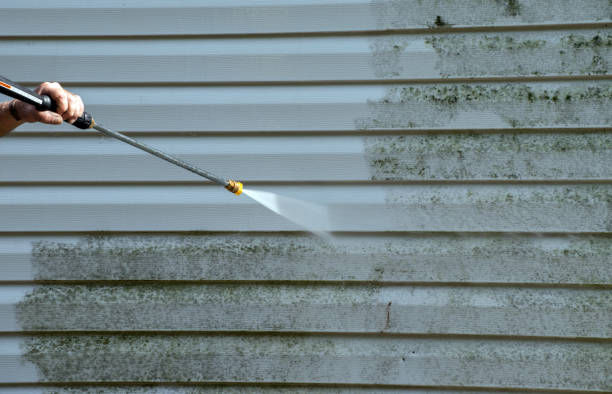 Mold Removal and Inspection in Bushnell, IL