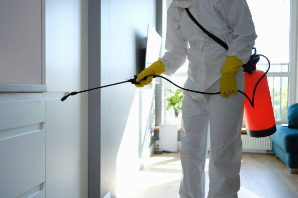 Best Office Mold Removal Services  in Bushnell, IL